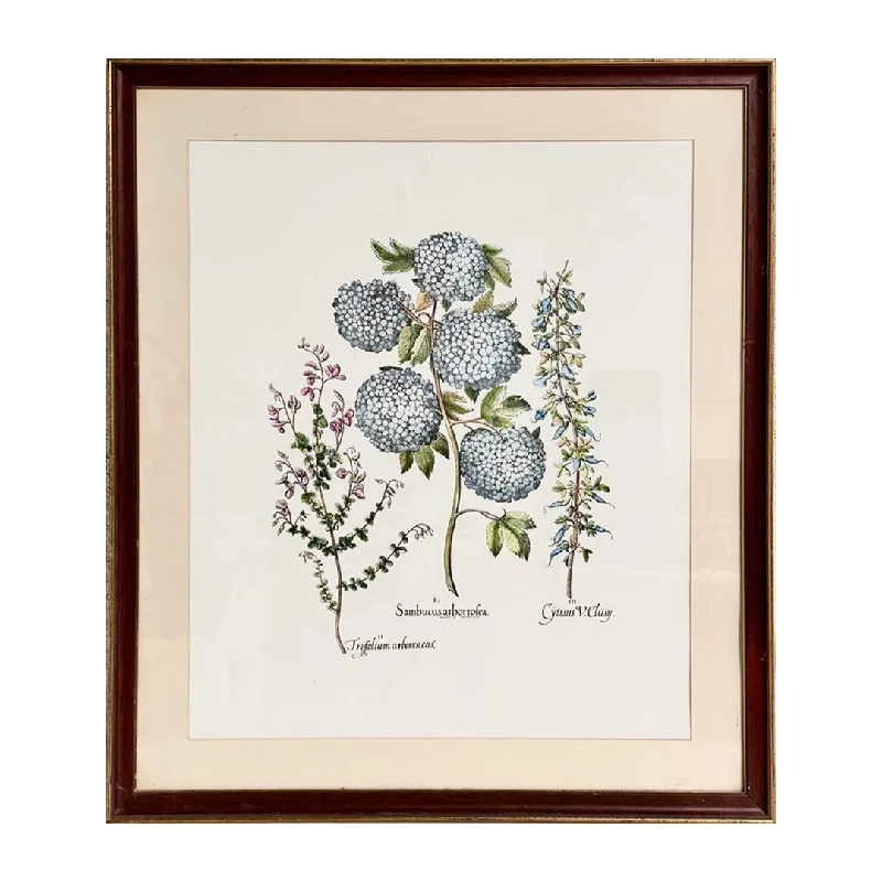 Botanical Print Featuring Three Flowers, Embossed Mark